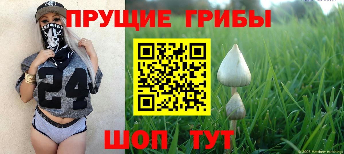 Галлюциногенные грибы мухоморы  дарнет шоп  Обь  Вход с VPN 